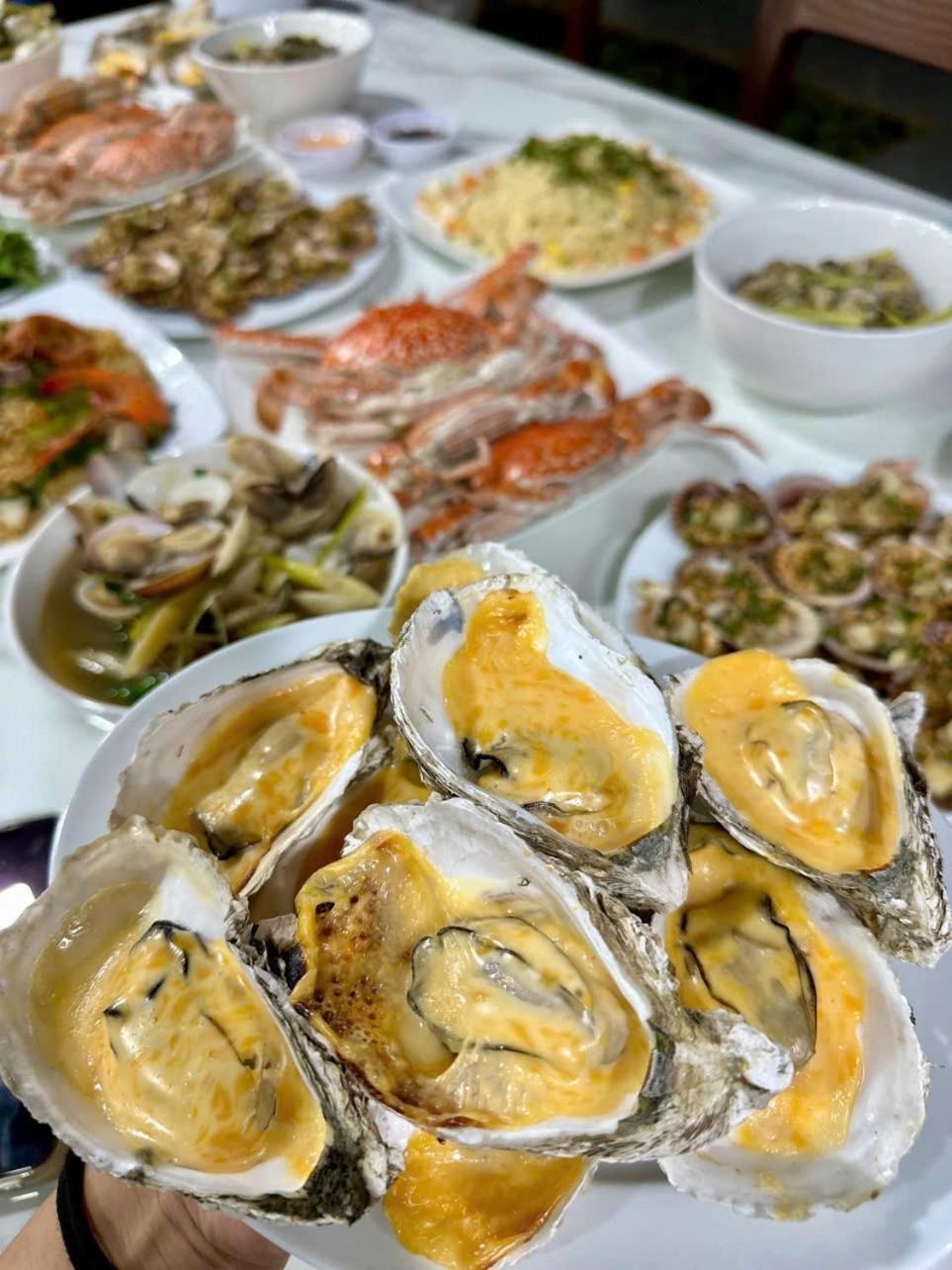 Oceanami Villa Long Hai - Vung Tau 外观 照片